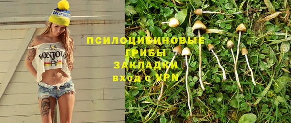 PSILOCYBIN Абаза