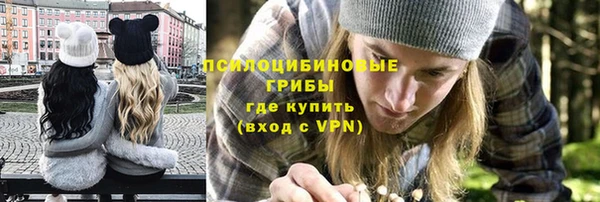 PSILOCYBIN Абаза