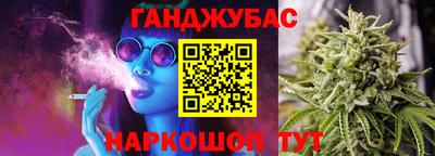 крисы Кулебаки