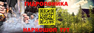 крисы Кулебаки