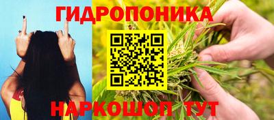 гидра Кумертау