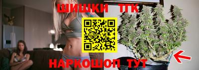крисы Кулебаки