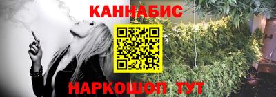 крисы Кулебаки