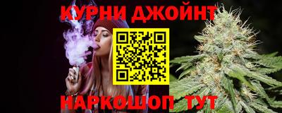 крисы Кулебаки