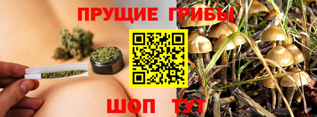 Лангепас  Псилоцибиновые грибы мицелий  наркошоп  Псилоцибиновые грибы Magic Shrooms  Вход с VPN 